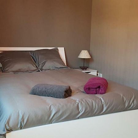 Appartement T3 A Belley Au Calme Avec Jardin Privatif Exterior photo